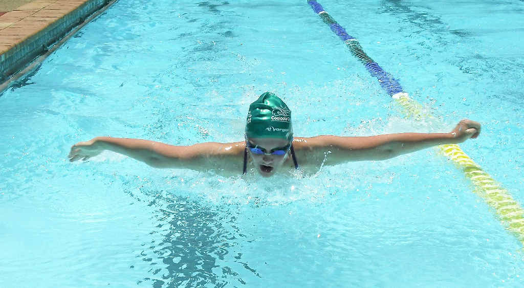 Cooloola Coast Croc Hayley Carnellor powers along in breaststroke. Cooloola Coast Croc Hayley Carnellor powers along in breaststroke.